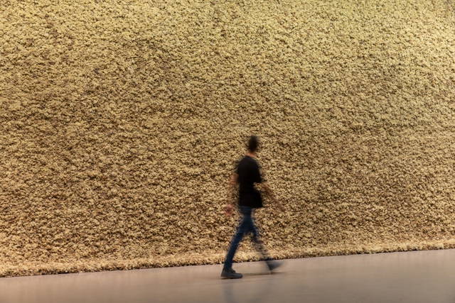 Moss wall, 1994 - Taipei Fine Arts Museum – 2025 - Photo:  Taipei Fine Arts Museum