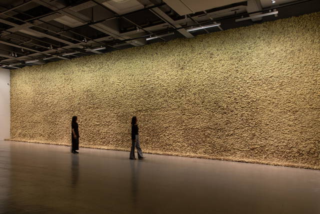 Moss wall, 1994 - Taipei Fine Arts Museum – 2025 - Photo:  Taipei Fine Arts Museum