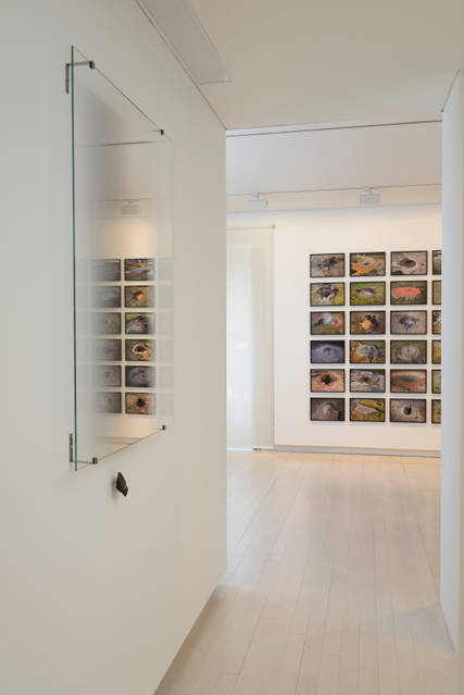 Installation view - Galeria Elvira Gonzalez, Madrid – 2014 - Photo: Cuauhtli Gutiérrez