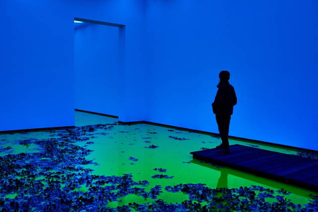Life, 2021 - Fondation Beyeler, Riehen / Basel, Switzerland – 2021 - Photo: Mark Niedermann