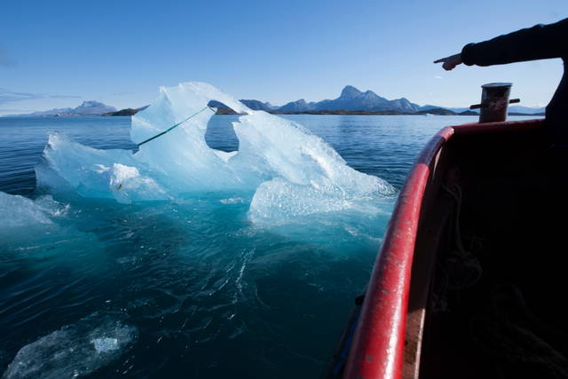 Ice Watch, 2014 - Photo: Jørgen Chemnitz
