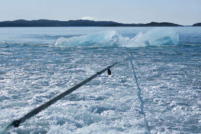 Ice Watch, 2014 - Photo: Jørgen Chemnitz