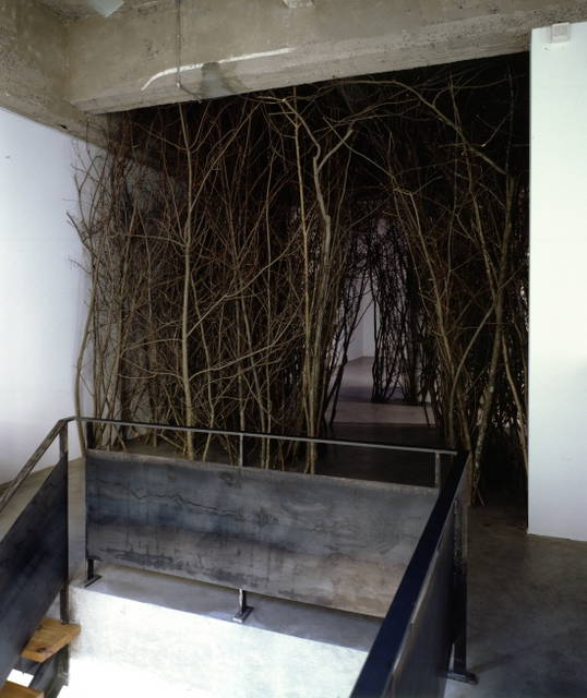 The forked forest path - Tanya Bonakdar Gallery, New York – 1998