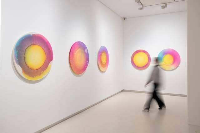 Installation view of Seven days of sunlight, 2026 - Galería Elvira González, Madrid - Photo: Cuauhtli Gutiérrez
