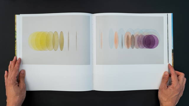 Your Glacial Expectations, Artist's book, 2017