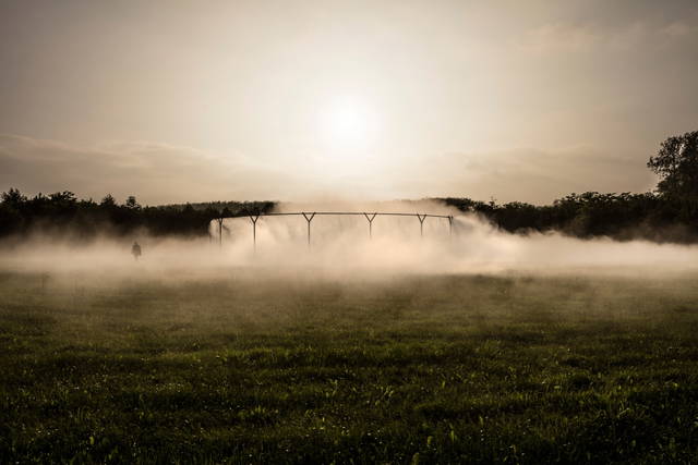 Fog assembly, 2016 - Palace of Versailles, France – 2016 - Photo: Anders Sune Berg