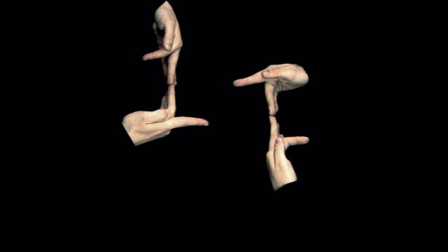 Detail from The moving museum, 2009, 2009