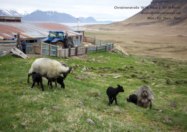 Grey Sheep with Kirsten Palz: Sculpture as writing