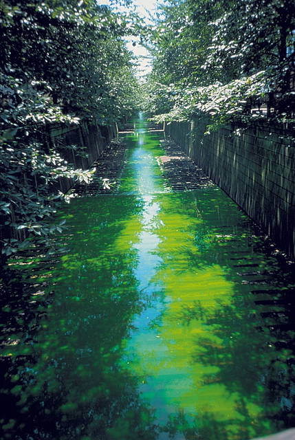 Green river, 1998 - Tokyo – 1998 - Photo: Olafur Eliasson