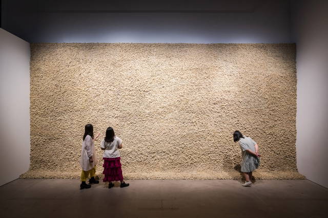 Moss wall, 1994 - Singapore Art Museum – 2024 - Photo: Joseph Nair, Memphis West Pictures | Singapore Art Museum 