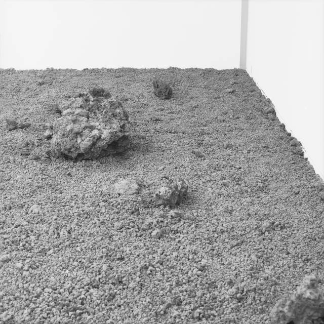 The body as brain - Lava floor: Projekt Sammlung (5) - Kunsthaus Zug, Switzerland – 2007 - Photo: Florian Holzherr