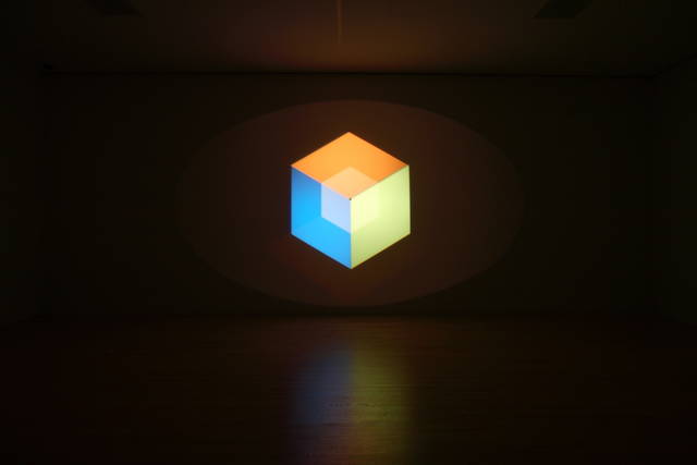 The outside of inside, 2008 - Dallas Museum of Art – 2008