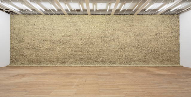 Moss wall, 1994 - Tate Modern, London – 2019 - Photo: Anders Sune Berg