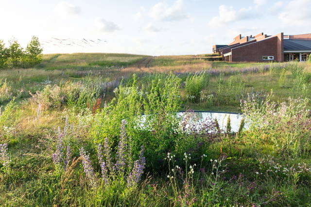Your glacial expectations, 2012 (2012) - Kvadrat, Ebeltoft, Denmark – 2013 - Photo: Iwan Baan