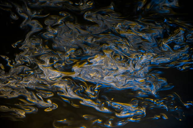 Symbiotic seeing, 2020 - Photo: María del Pilar García Ayensa / Studio Olafur Eliasson