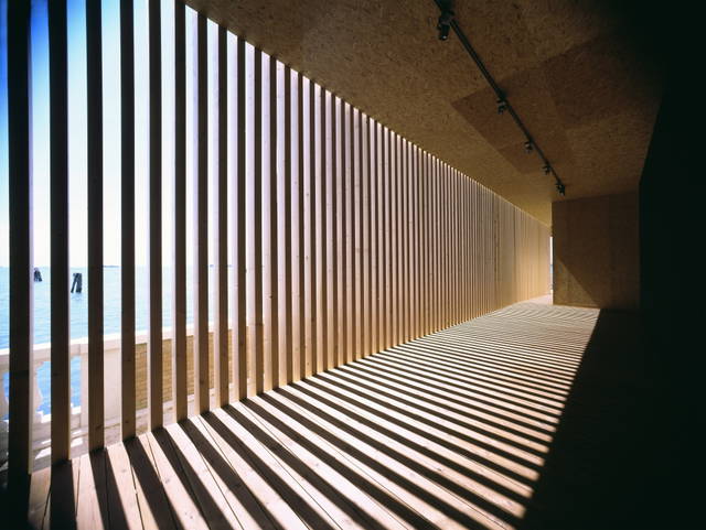 Your black horizon, 2005 - TBA21, 51st Biennale di Venezia – 2005 - Photo: Cameraphoto Arte, Venezia / TBA21