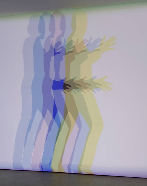 Your uncertain shadow (growing), 2010 - Hall Art Foundation, Reading, Vermont – 2010 - Photo: Jeffrey Nintzel; Courtesy Hall Art Foundation