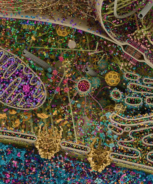Image used on Blog post '1893' (from S3)