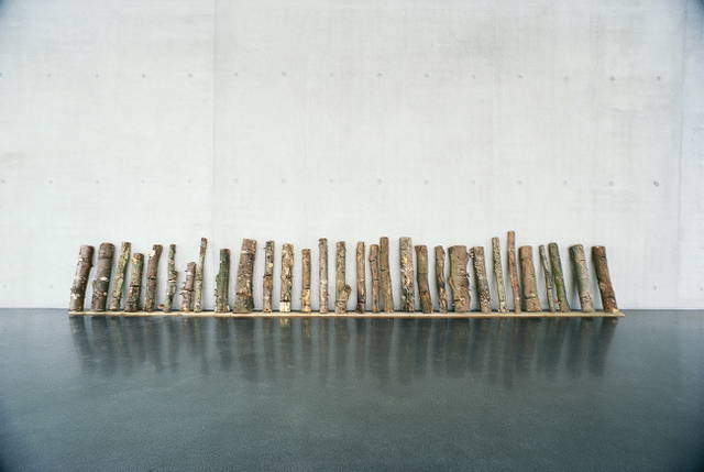 The mediated motion, 2001 - Kunsthaus Bregenz, Austria – 2001 - Photo: Markus Tretter