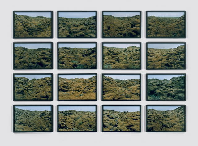 The moss valley series