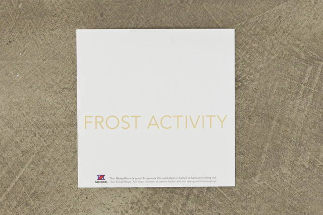 Invitation for Frost Activity, Reykjavik Art Museum-Hafnarhús, 2004