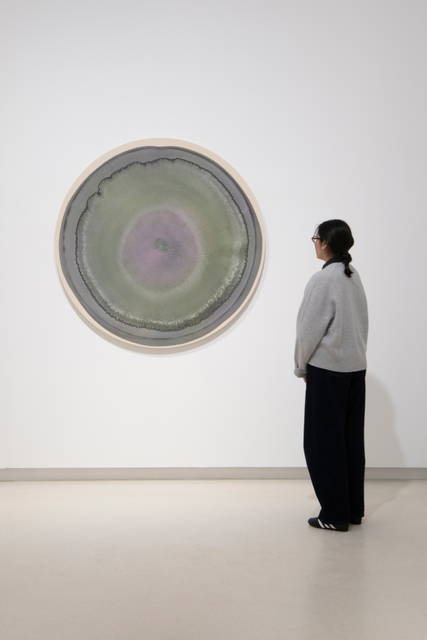 Dark lichen for brighter days, 2026 - Galería Elvira González, Madrid - Photo: Cuauhtli Gutiérrez