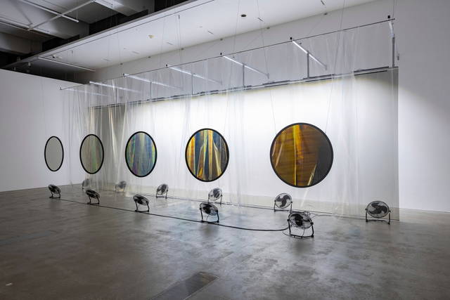 Your truths, 2025 - QAGOMA, Brisbane  – 2025 - Photo: Nicholas Umek  © QAGOMA