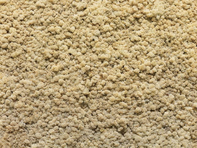 Moss wall, 1994 - Leeum, Samsung Museum of Art, Seoul – 2016 - Photo: Hyunsoo Kim