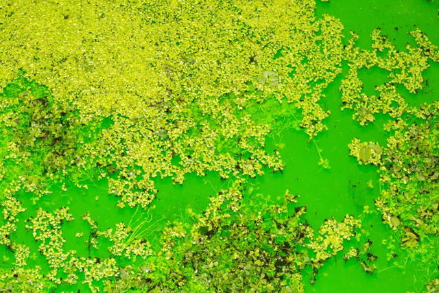 Life, 2021, detail - Fondation Beyeler, Riehen / Basel, Switzerland – 2021 - Photo: Pati Grabowicz