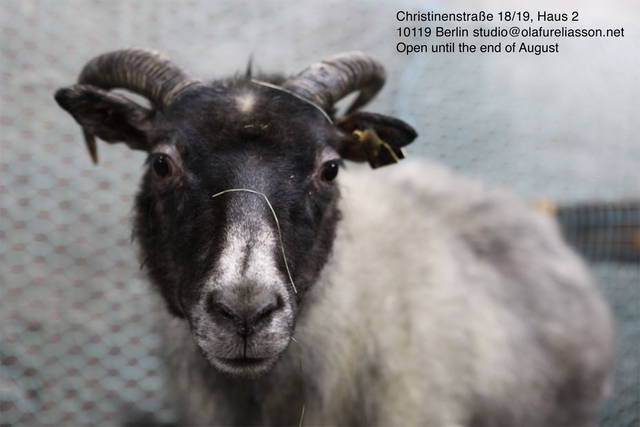 Grey Sheep with Quynh Vantu, Leon Eixenberger, Clara Jo, Jeremias Holliger, Raul Walch, Asako Iwama, and Lauren Maurer