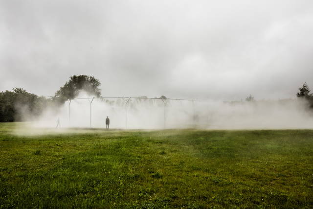 Fog assembly