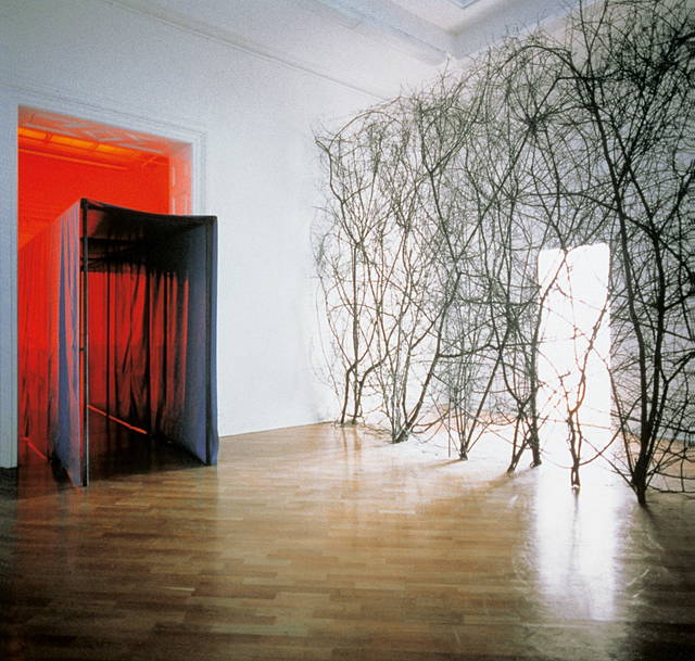 The curious garden, 1997 - Kunsthalle Basel – 1997 - Photo: Andrea Stappert