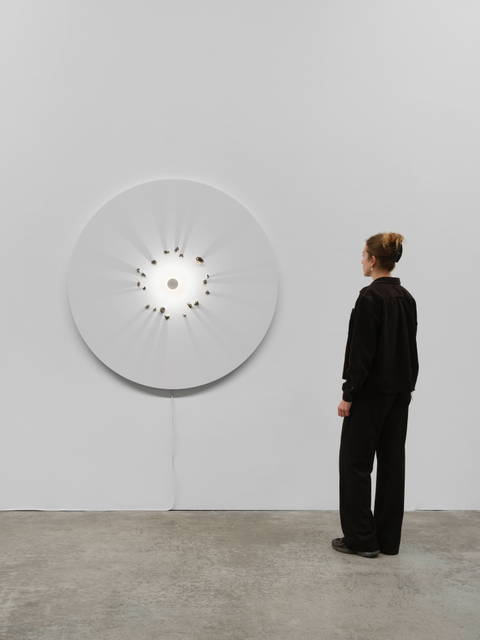 The authority of art (day), 2014 - neugerriemschneider, Berlin – 2026 - Photo: Marjorie Brunet Plaza