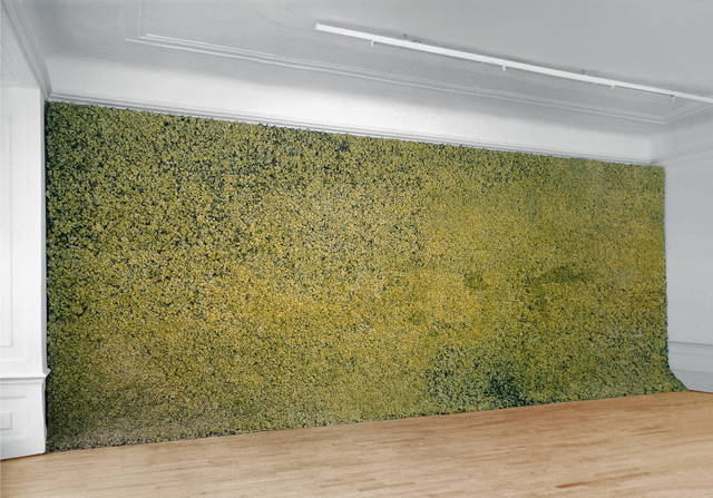 Moss wall, 1994 - Neue Galerie am Landesmuseum Joanneum, Graz, Austria – 1994 - Photo: Koinegg
