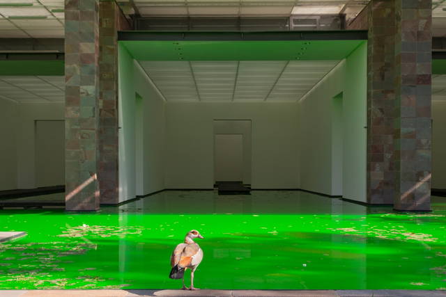 Life, 2021 - Fondation Beyeler, Riehen / Basel, Switzerland – 2021 - Photo: Pati Grabowicz
