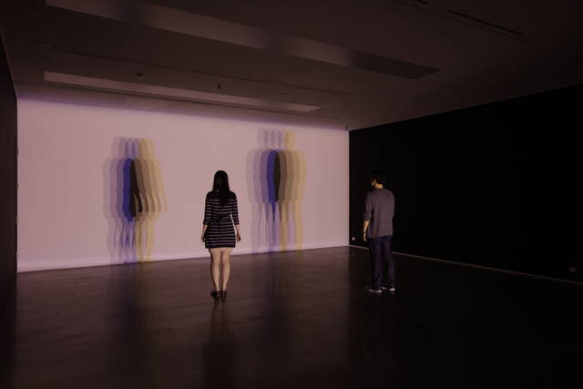 Your uncertain shadow (growing), 2010 - PKM Gallery, Seoul – 2012