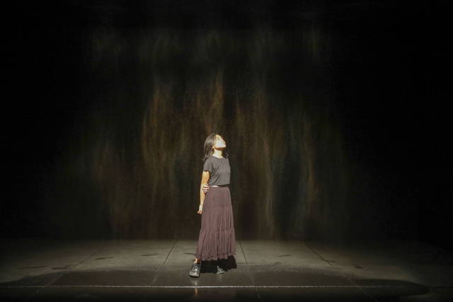 Beauty, 1993 - Museum of Contemporary Art and Design, Manila, Philippines – 2026 - Photo: Jake Verzosa