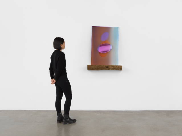 Forgetting our mammalian truths, 2022 - Tanya Bonakdar Gallery, New York – 2022 - Photo: Dan Bradica