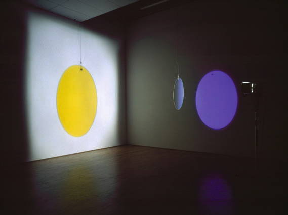 Yellow versus purple