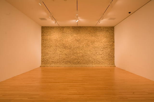 Moss wall, 1994 - Dallas Museum of Art – 2008