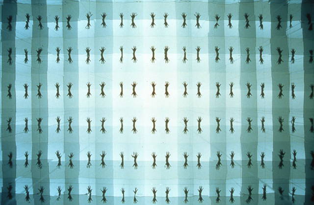 Your repetitive view, 2000 - Zentrum für internationale Lichtkunst Unna, Germany – 2000 - Photo: Franz Wamhof