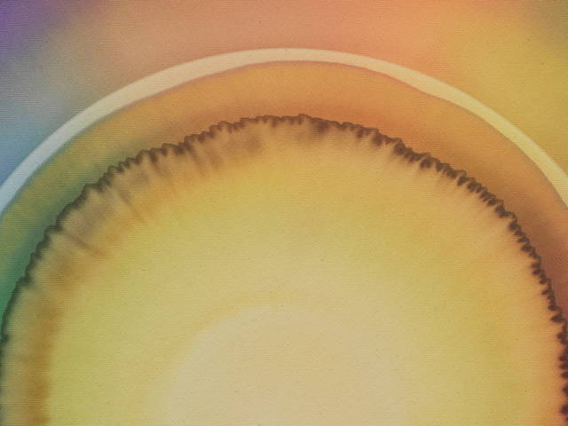 Seven days of sunlight (Friday), 2026 - Photo: Jens Ziehe