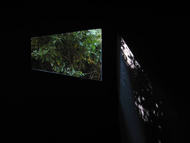 The glass house, 2003 - Danish Pavilion, 50th Biennale di Venezia – 2003 - Photo: Giorgio Boato