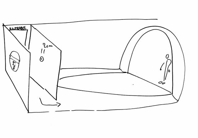 Sketch for Your circumspection disclosed, 1999