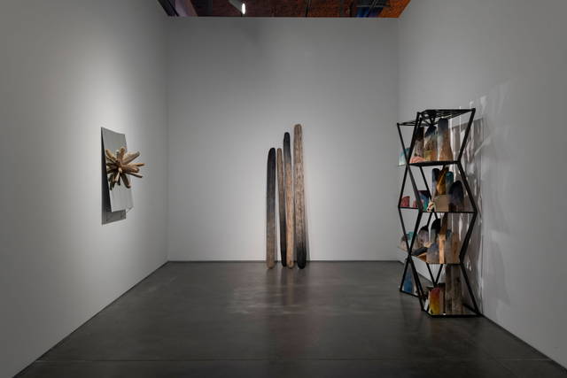 Installation view of More-than-human-gathering, Your falling apart and loving the pieces, 2020, and Arctic Ocean navigation star (Dubhe) - Istanbul Museum of Modern Art, Istanbul – 2024 - Photo: Kayhan Kaygusuz