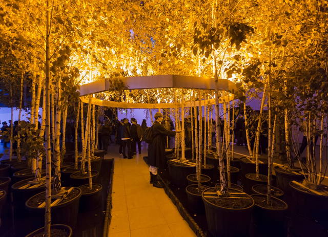 Yellow forest, 2017 - Hamburger Bahnhof Museum, Berlin – 2017 - Photo: David von Becker