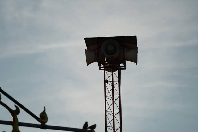 More-than-human songs, 2021 - Thailand Biennale, Korat – 2021 - Photo: Phiraya Ardwichai