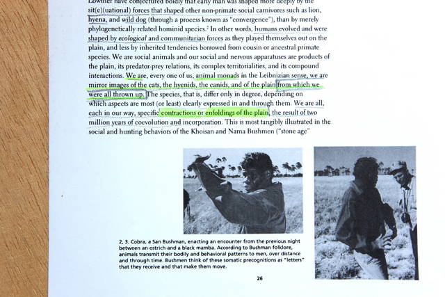 Excerpt from African Genesis