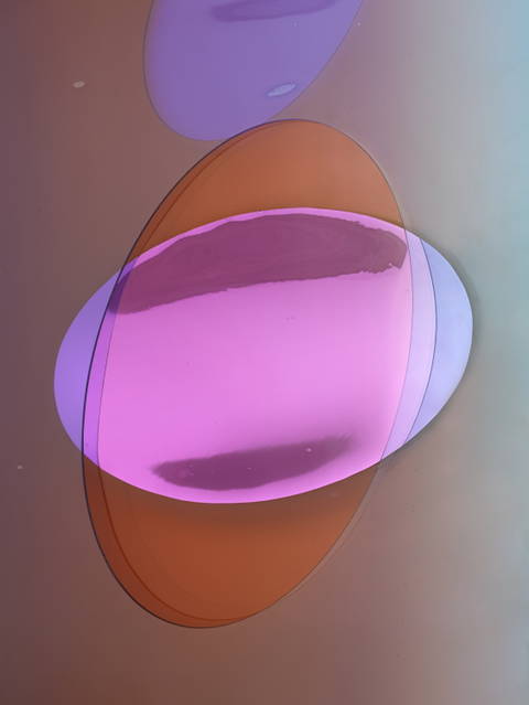 Forgetting our mammalian truths, 2022 - Tanya Bonakdar Gallery, New York – 2022 - Photo: Dan Bradica