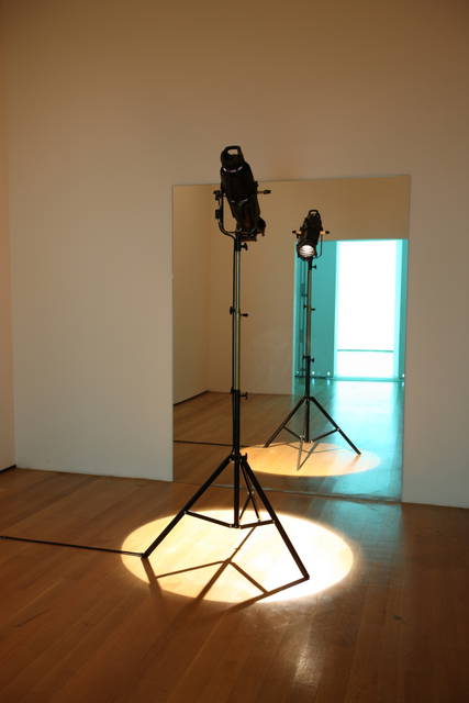 Mirror door (visitor)